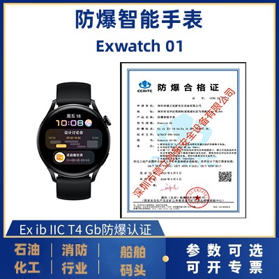 防爆智能手表Exwatch 01