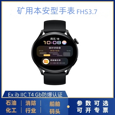 矿用本安型手表FHS3.7