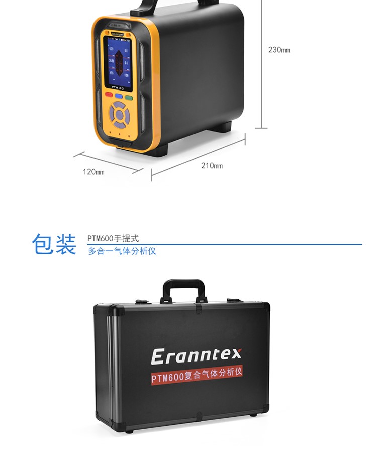 PTM600手提式复合型气体分析仪